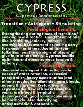 Cypress (Cupressus Sempervirens) Essential Oil